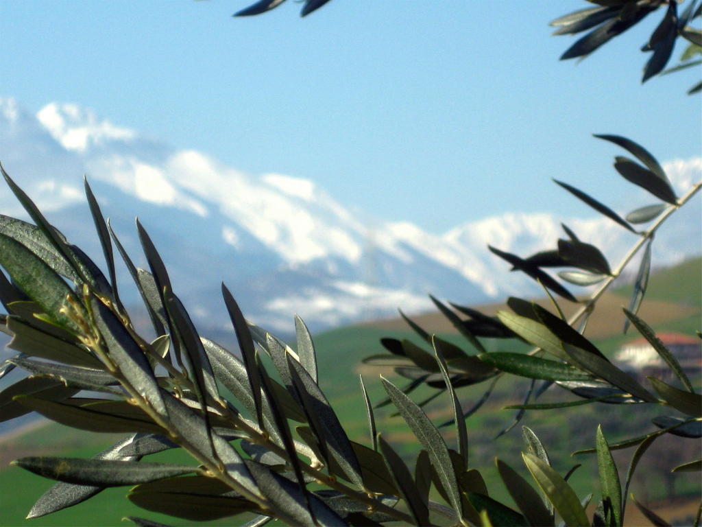 Agriturismo Cignale Penne ภายนอก รูปภาพ