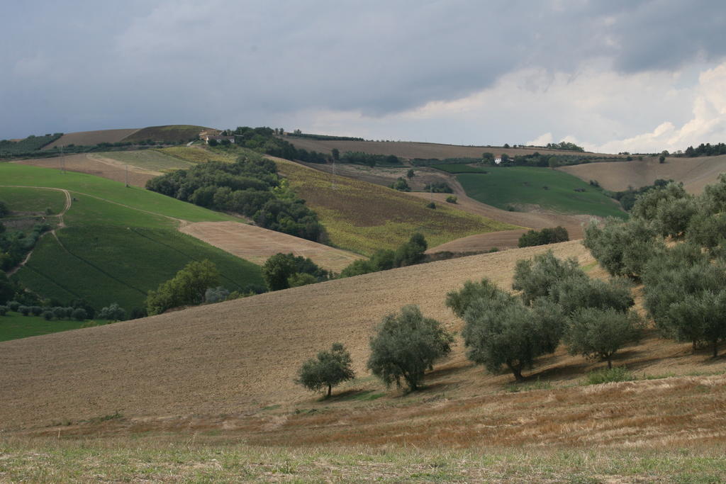 Agriturismo Cignale Penne ภายนอก รูปภาพ