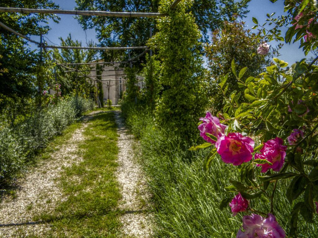 Agriturismo Cignale Penne ภายนอก รูปภาพ