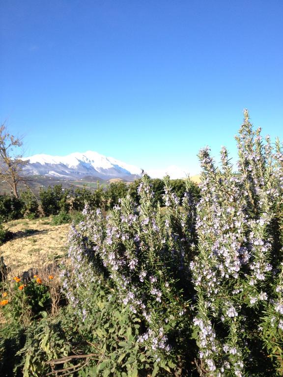 Agriturismo Cignale Penne ภายนอก รูปภาพ