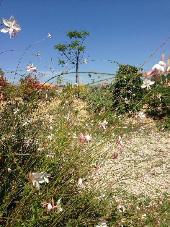 Agriturismo Cignale Penne ภายนอก รูปภาพ