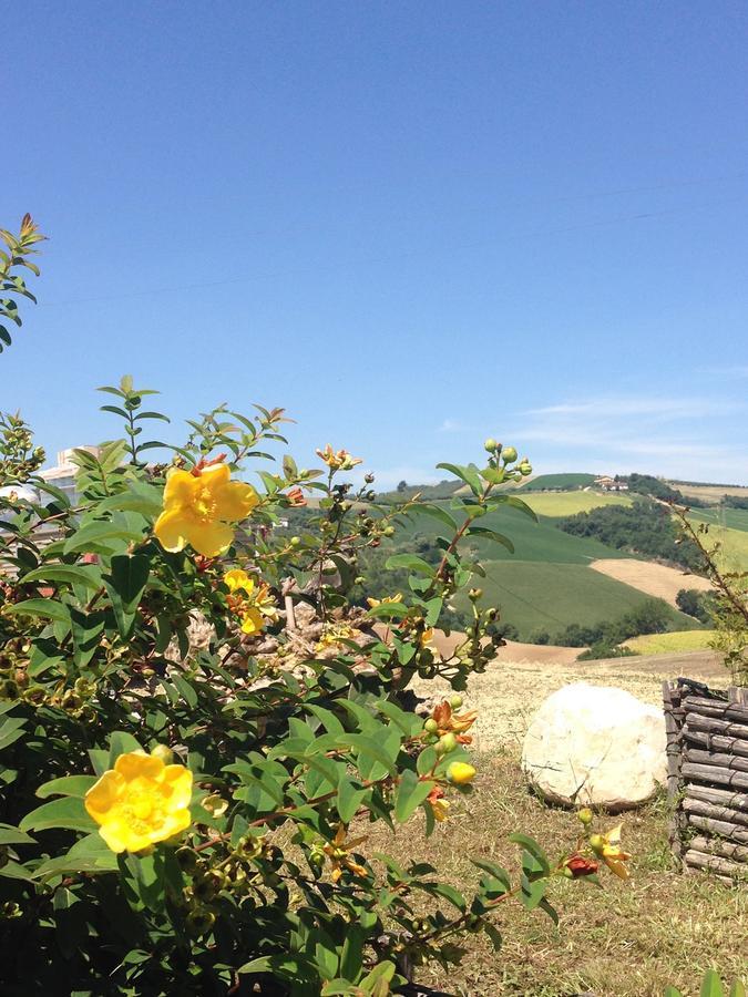 Agriturismo Cignale Penne ภายนอก รูปภาพ