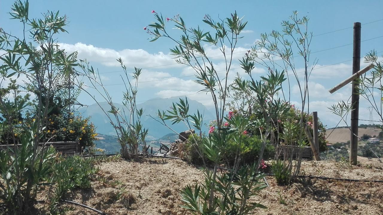 Agriturismo Cignale Penne ภายนอก รูปภาพ