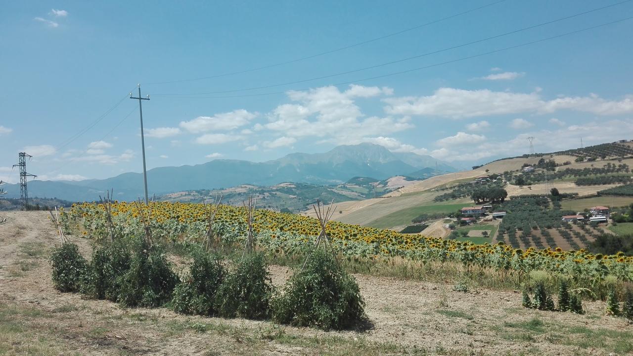 Agriturismo Cignale Penne ภายนอก รูปภาพ
