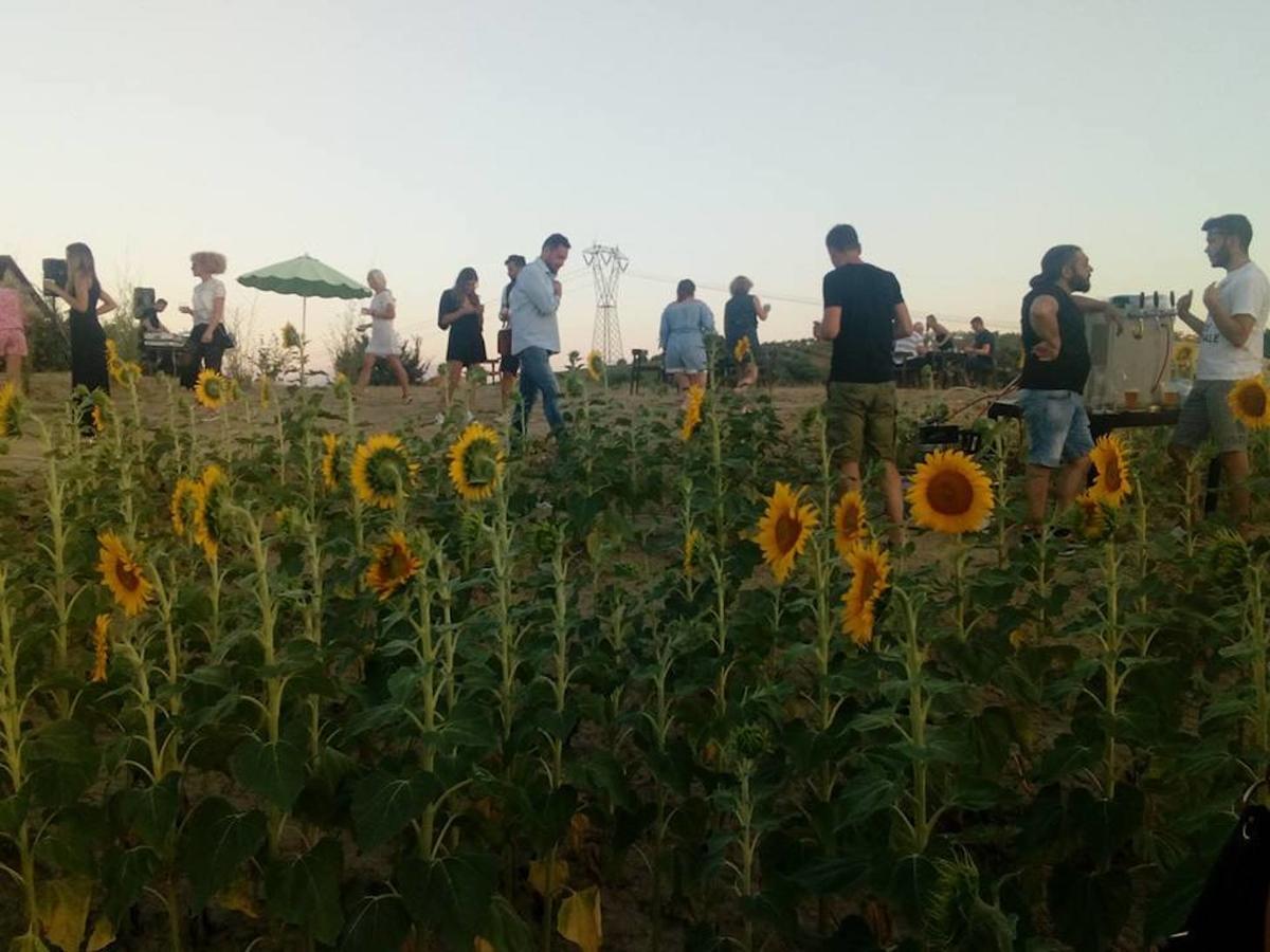 Agriturismo Cignale Penne ภายนอก รูปภาพ