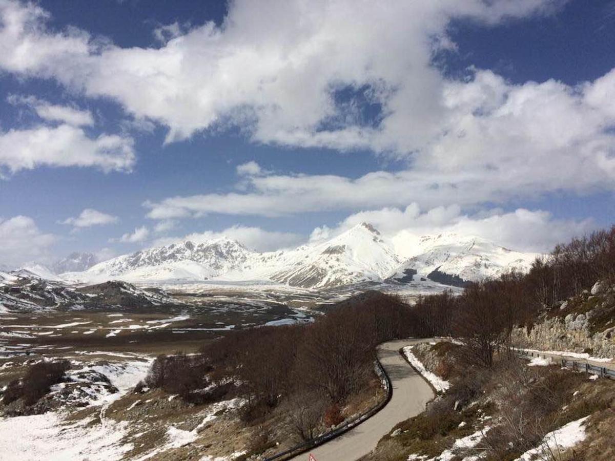 Agriturismo Cignale Penne ภายนอก รูปภาพ