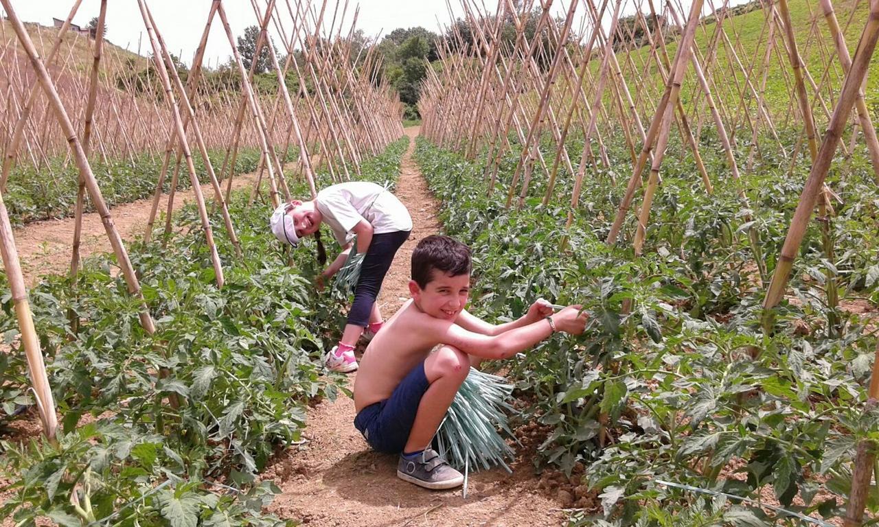 Agriturismo Cignale Penne ภายนอก รูปภาพ